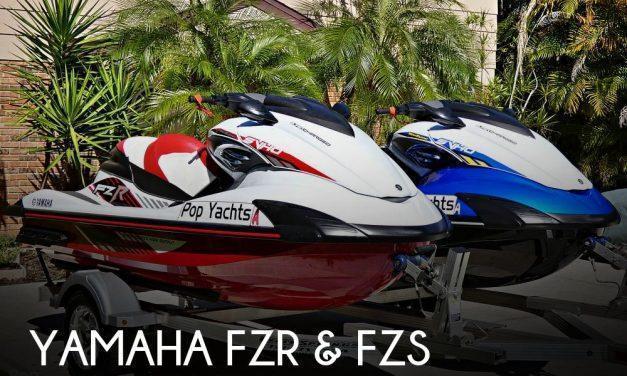 2016 Yamaha FZR & FZS