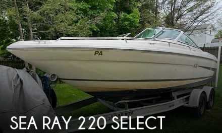 1994 Sea Ray 220 Select