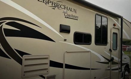 2015 Coachmen Leprechaun 316ds