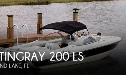 2007 Stingray 200 LS