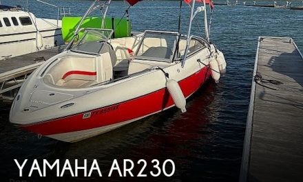 2005 Yamaha AR230