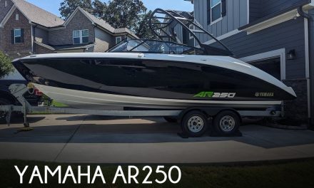 2022 Yamaha AR250