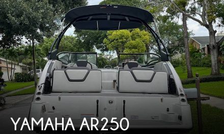 2021 Yamaha ar250