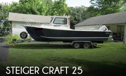 1989 Steiger Craft 25 Chesapeake