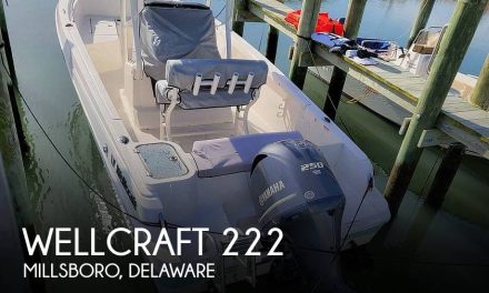 2018 Wellcraft 222 Fisherman