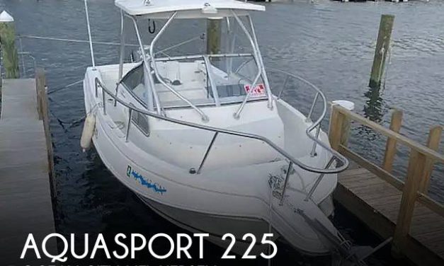 2001 Aquasport 225 Explorer