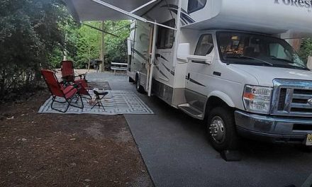 2015 Forest River Forester 3051 S