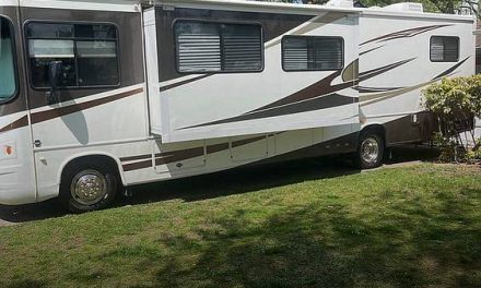 2012 Forest River Georgetown M-329-DS