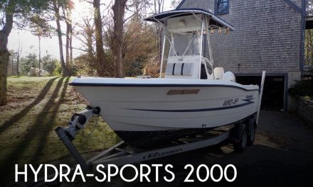 1999 Hydra-Sports 2000 Vector