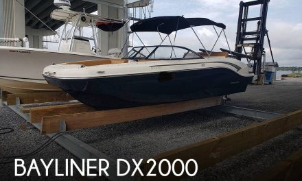 2019 Bayliner DX2000